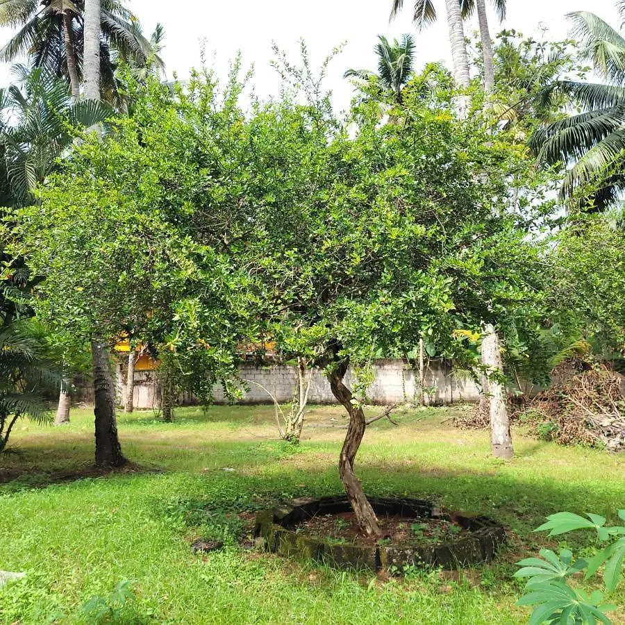 טריואנדרום White Butterfly - A Countryside Homestay 0*,  הודו