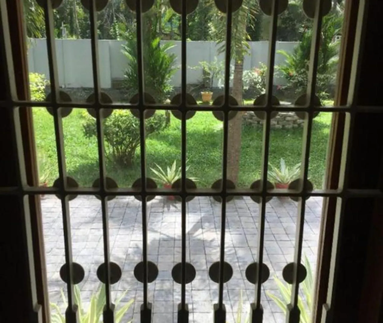 White Butterfly - A Countryside Homestay Thiruvananthapuram